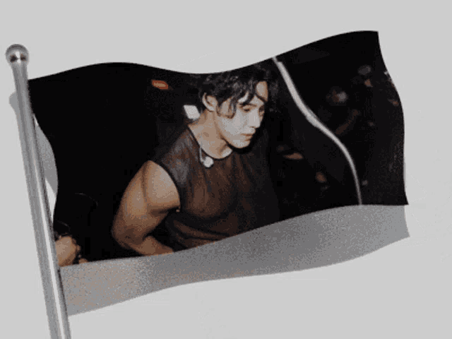 29gae Mingyu Tiddies GIF