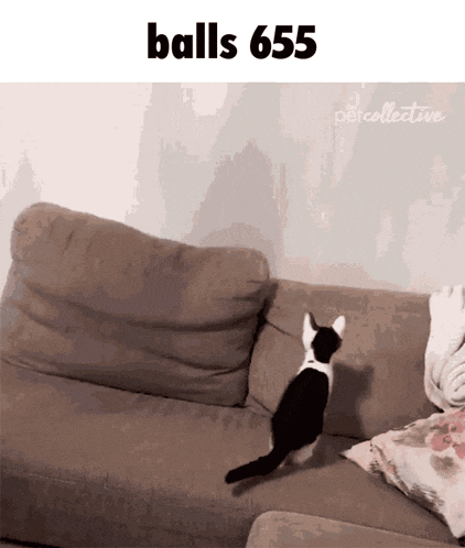 Balls 655 GIF
