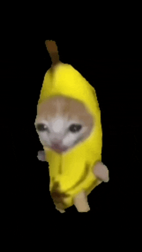 Banana Cat Walking GIF