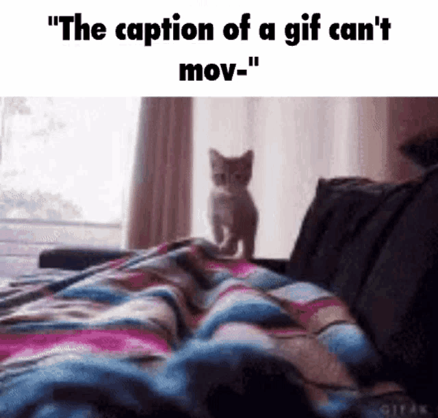 Big Chungus Gif Caption GIF