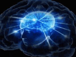 Brain Brain Meme GIF