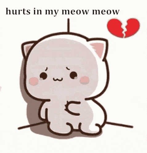 Broken Meow GIF