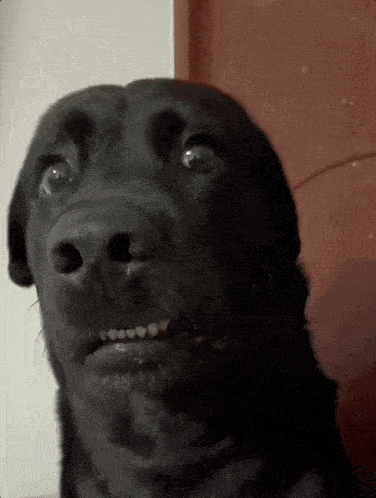 Brotha Ehhh GIF