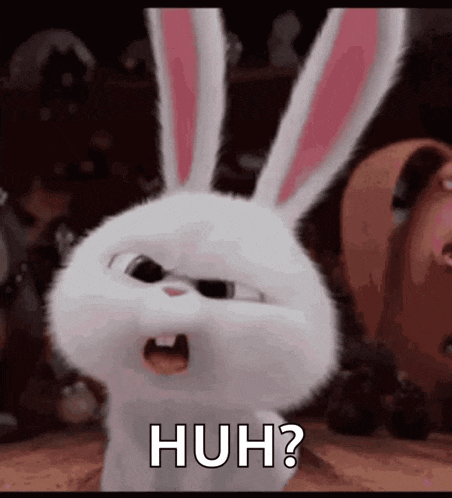 Bunny Wth GIF
