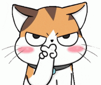 Cat Angry Cat GIF
