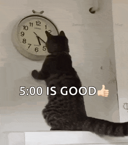 Cat Changing The Clock Changing The Time GIF