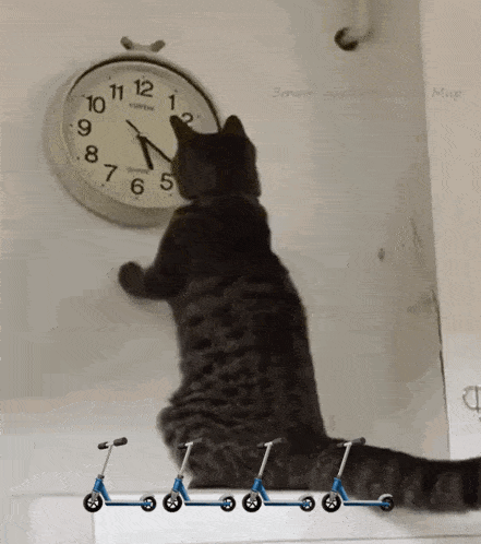 Cat Changing The Clock Changing The Time GIF