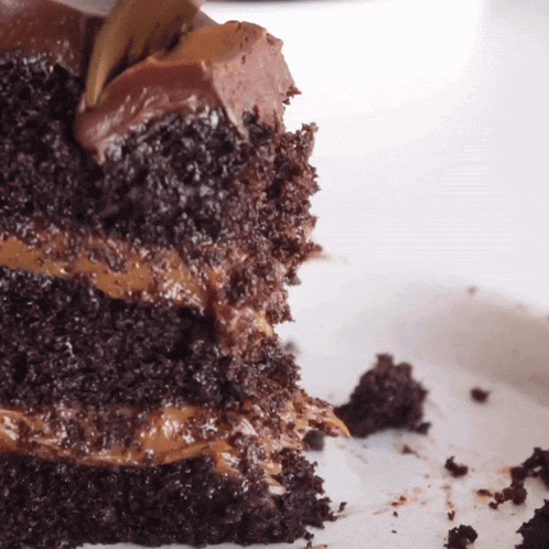 Chocolate Cake Dessert GIF