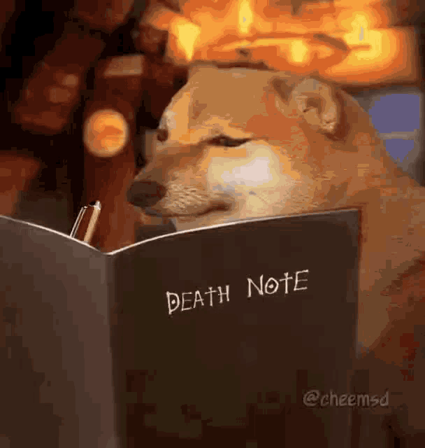 Death Note GIF