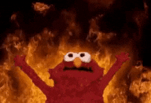 Elmoerc Elmo GIF