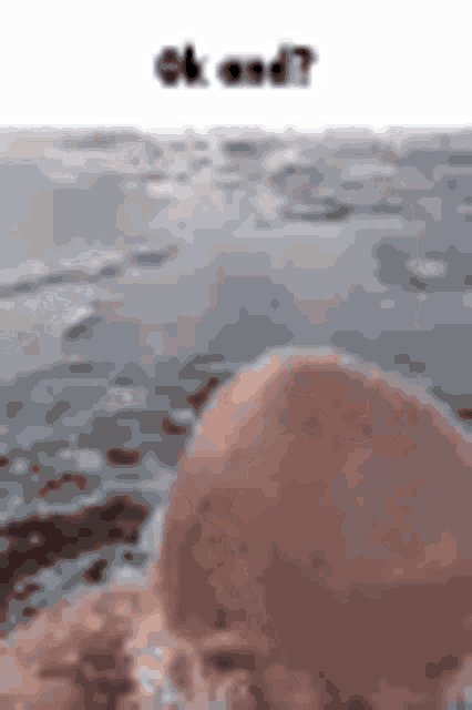 Foekoe Foekoe Gaming GIF