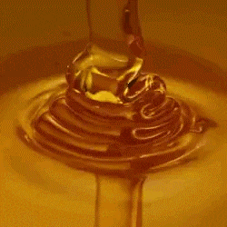 Honey Sweet GIF