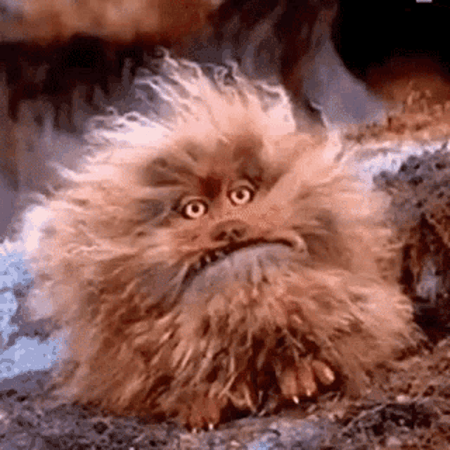 Hungry Help Me GIF