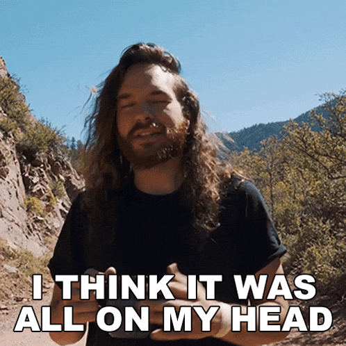 I Think It Was All On My Head Trent Arant GIF