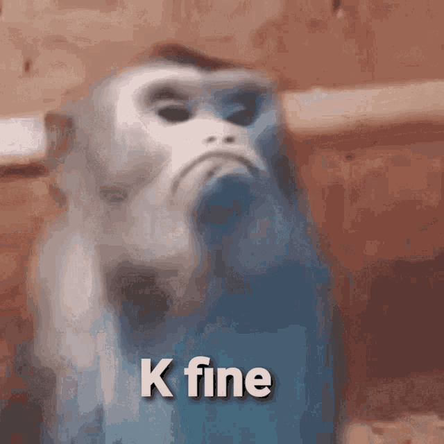 K Fine Disappointed Sad Monkey Pissed Angry GIF