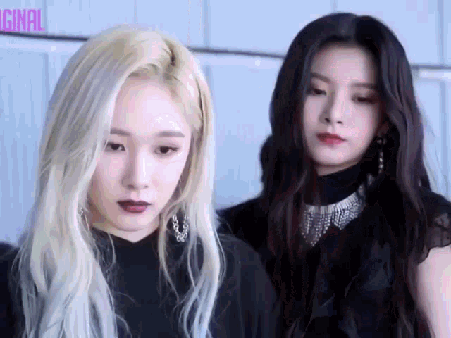 Kjslave GIF