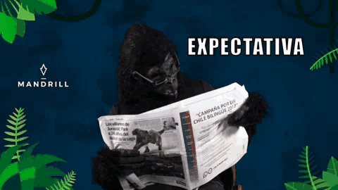 Kong Monkey GIF