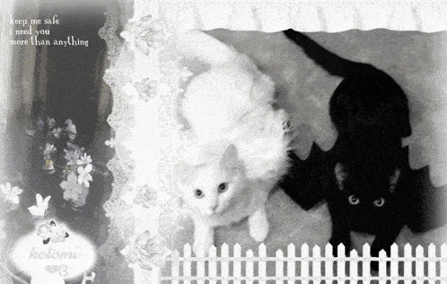 Kotomi Kotomirai GIF