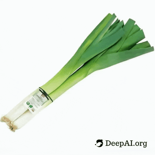 Leek 1 GIF