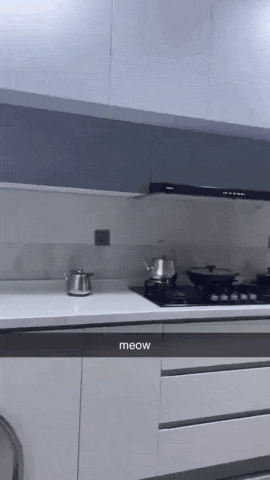Lenna Elina GIF