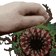 Leshy Lehsy GIF