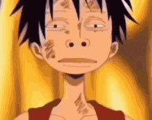Lol One Piece GIF