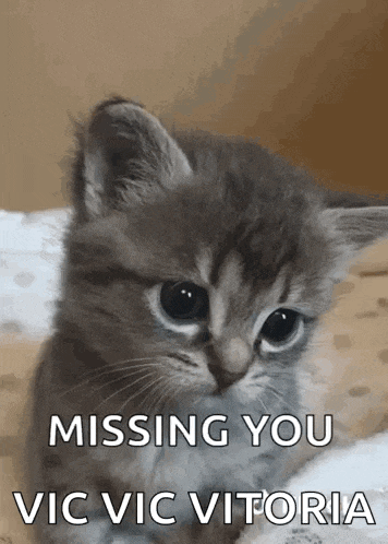 Love And Deepspace GIF