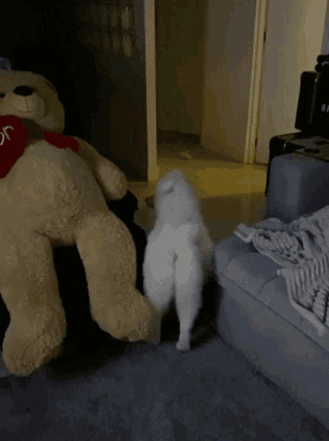 Maluviana Dog GIF