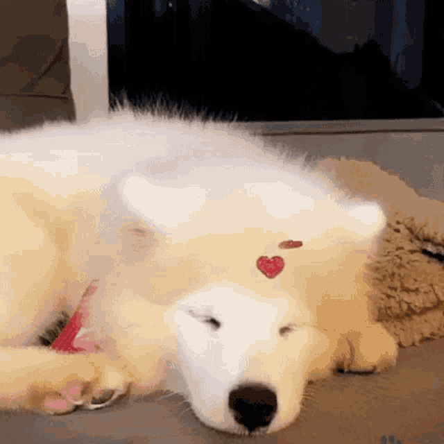 Maluviana Mamadeiras Cute GIF