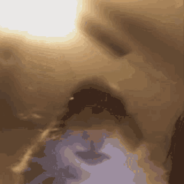 Meme Hamster GIF