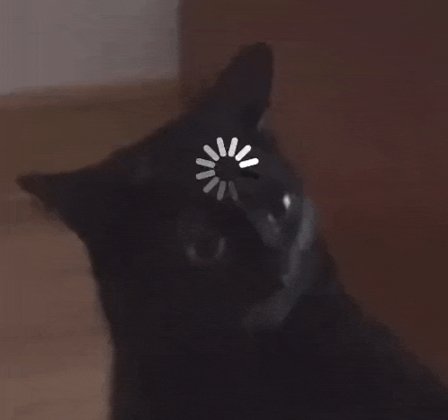 Midnight The Cat Stopped Working Cat Meme GIF