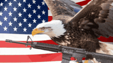 Murica Merica GIF