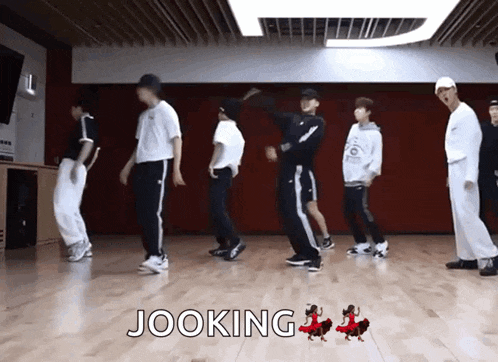 Musediet Stray GIF