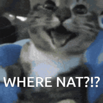 Nat GIF
