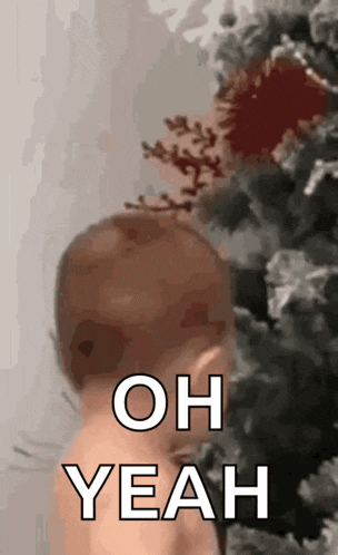 Oh Really GIF