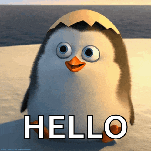 Penguin Hello GIF