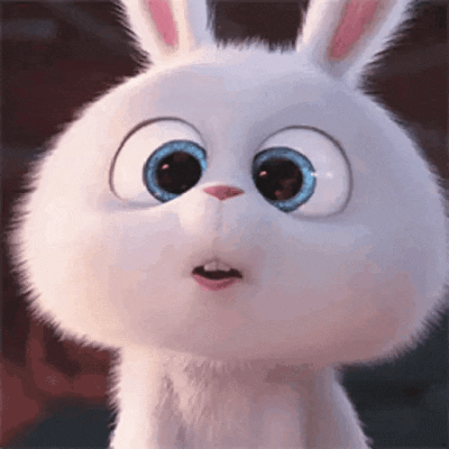 Pets GIF