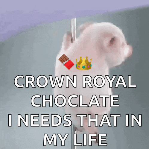 Porquinho Polidance GIF