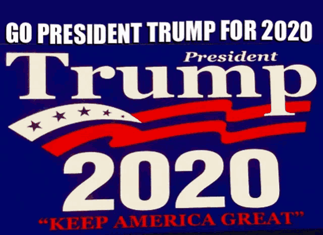 President Donald Trump GIF