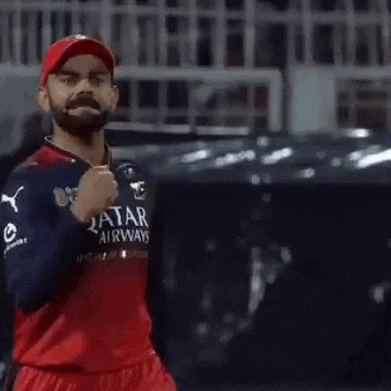 Rcb Cricket GIF