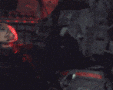 Redfox9 Phillip Graves GIF