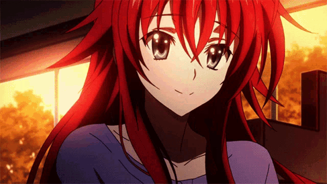 Rias Gremory Highschool Dxd GIF