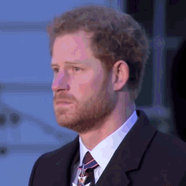 Royals Royal Family GIF