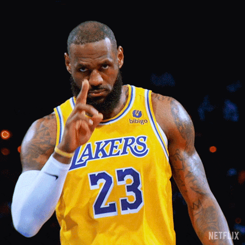 Salute Lebron James GIF