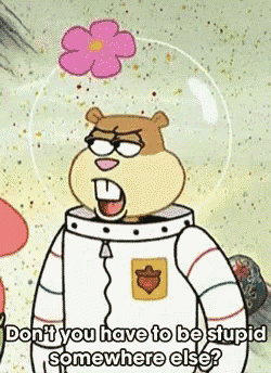 Sandy Spongebob GIF