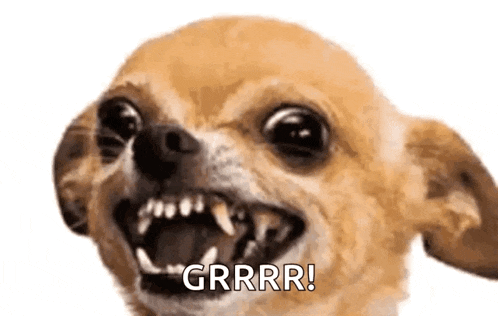 Sia GIF