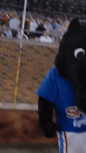 Smu Mustangs Peruna GIF