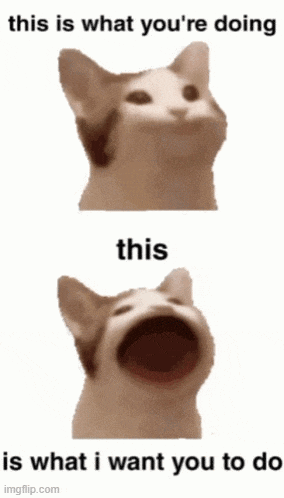 Start-talking-cat GIF