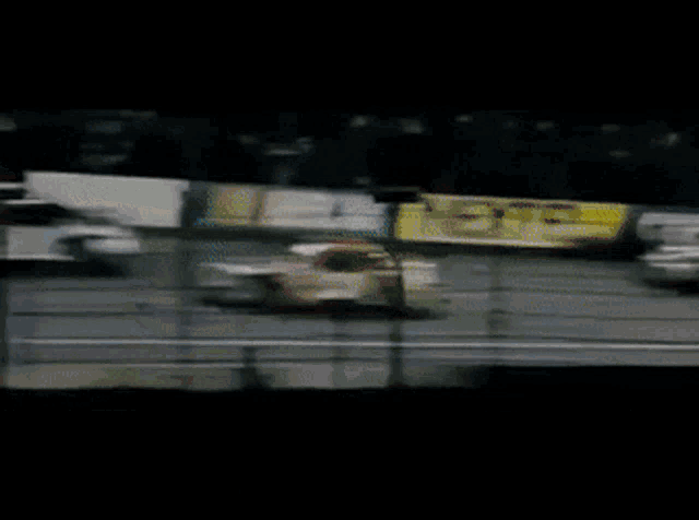 Talladega Nights Ricky Bobby GIF