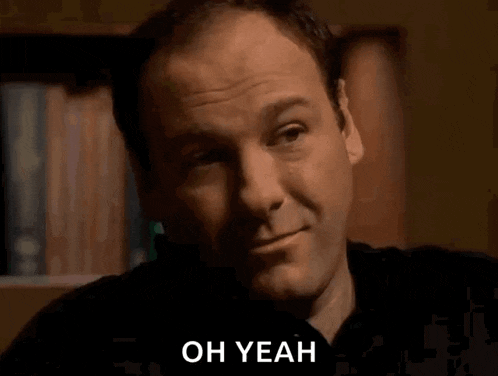 The Sopranos Tony Soprano GIF